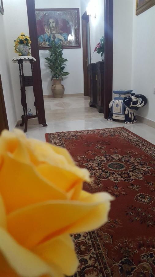 Zia Mia B&B Олбия Екстериор снимка